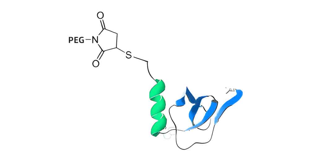 4.PEG-peptide