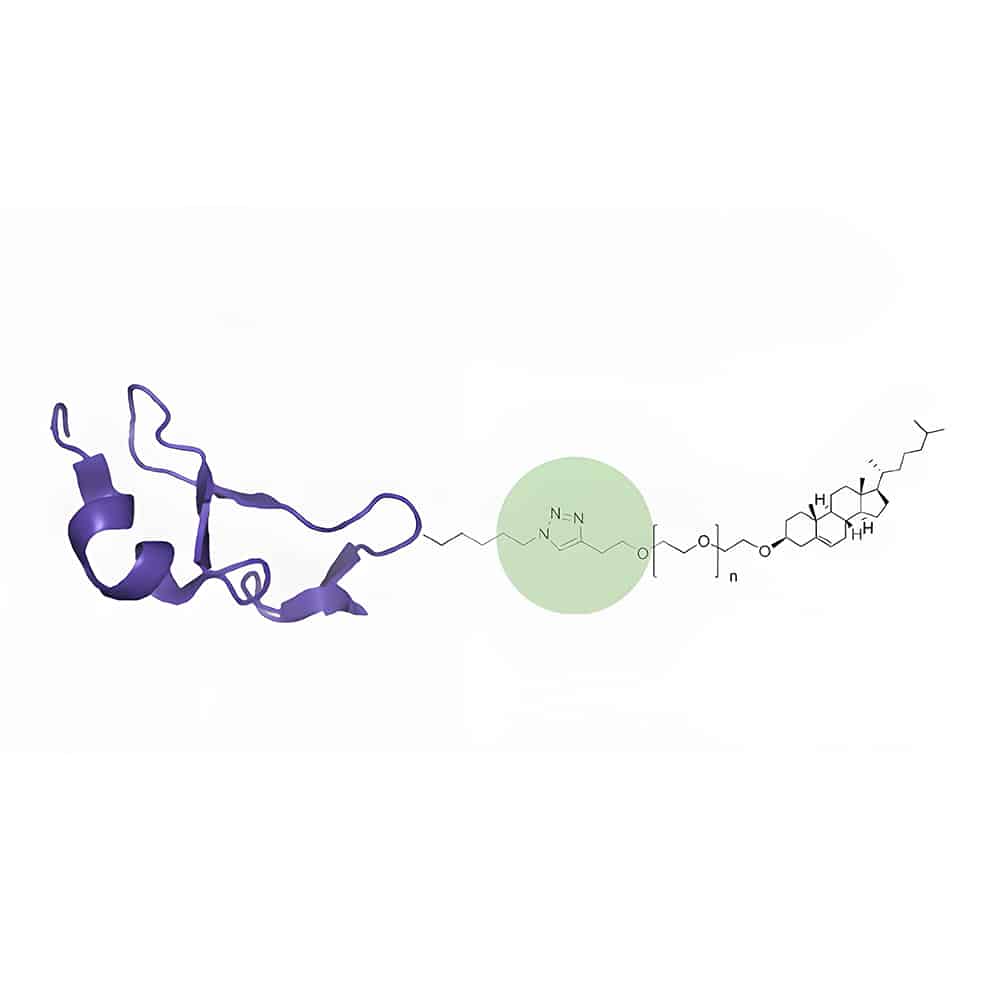 5.Peptide-small-molecule-conjugation