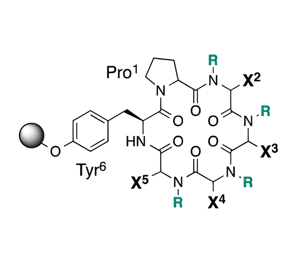 11. Combinatorial CPP