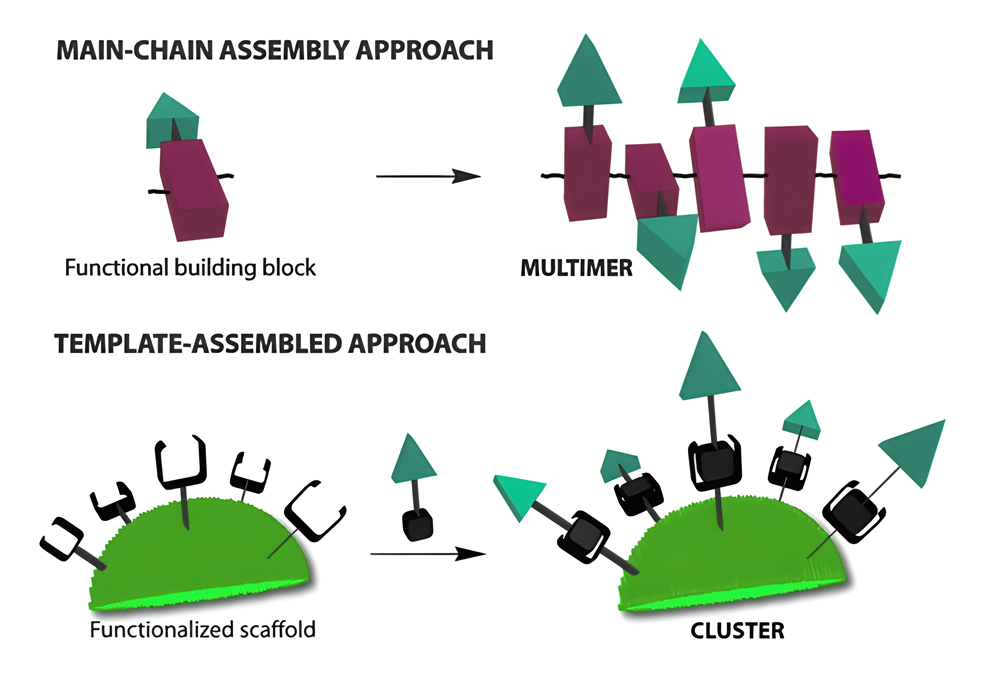 15. Self-assembly multivalency