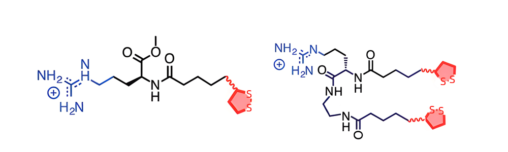 3. CPD depolymerization