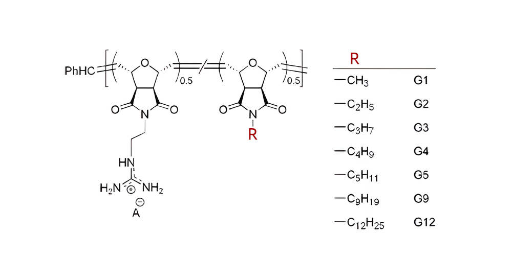 4. Hydrophobic counterion action