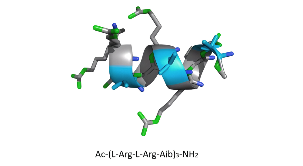 7. α-aminoisobutyric acid